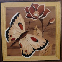 Schmetterling